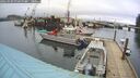 ./images/quadra/hbidock/20260303/hbidock20260303_074500M.jpg