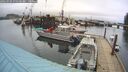 ./images/quadra/hbidock/20260303/hbidock20260303_075500M.jpg
