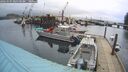 ./images/quadra/hbidock/20260303/hbidock20260303_080500M.jpg