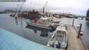 ./images/quadra/hbidock/20260303/hbidock20260303_080502M.jpg