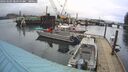 ./images/quadra/hbidock/20260303/hbidock20260303_085000M.jpg