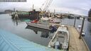 ./images/quadra/hbidock/20260303/hbidock20260303_091000M.jpg
