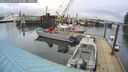 ./images/quadra/hbidock/20260303/hbidock20260303_091501M.jpg