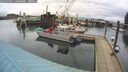 ./images/quadra/hbidock/20260303/hbidock20260303_110001M.jpg