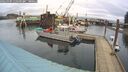 ./images/quadra/hbidock/20260303/hbidock20260303_115501M.jpg