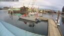 ./images/quadra/hbidock/20260303/hbidock20260303_131502M.jpg