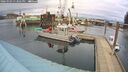 ./images/quadra/hbidock/20260303/hbidock20260303_133501M.jpg