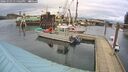 ./images/quadra/hbidock/20260303/hbidock20260303_135001M.jpg