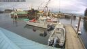 ./images/quadra/hbidock/20260303/hbidock20260303_141501M.jpg