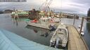 ./images/quadra/hbidock/20260303/hbidock20260303_142500M.jpg