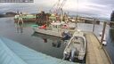 ./images/quadra/hbidock/20260303/hbidock20260303_142501M.jpg