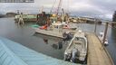 ./images/quadra/hbidock/20260303/hbidock20260303_143501M.jpg