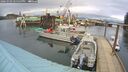 ./images/quadra/hbidock/20260303/hbidock20260303_145500M.jpg