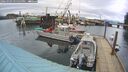 ./images/quadra/hbidock/20260303/hbidock20260303_155500M.jpg