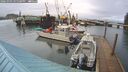 ./images/quadra/hbidock/20260303/hbidock20260303_165501M.jpg
