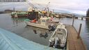 ./images/quadra/hbidock/20260303/hbidock20260303_173000M.jpg