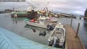 ./images/quadra/hbidock/20260303/hbidock20260303_174500M.jpg