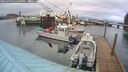 ./images/quadra/hbidock/20260303/hbidock20260303_174501M.jpg