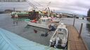 ./images/quadra/hbidock/20260303/hbidock20260303_175001M.jpg