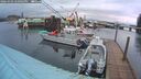 ./images/quadra/hbidock/20260303/hbidock20260303_180001M.jpg