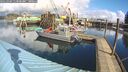 ./images/quadra/hbidock/20260304/hbidock20260304_113000M.jpg