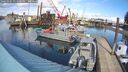 ./images/quadra/hbidock/20260304/hbidock20260304_134500M.jpg