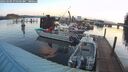 ./images/quadra/hbidock/20260305/hbidock20260305_070501M.jpg