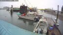 ./images/quadra/hbidock/20260306/hbidock20260306_131500M.jpg