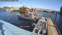 ./images/quadra/hbidock/20260308/hbidock20260308_115001M.jpg