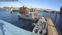 ./images/quadra/hbidock/20260308/hbidock20260308_115500M.jpg