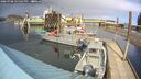 ./images/quadra/hbidock/20260308/hbidock20260308_145501M.jpg