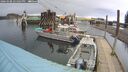 ./images/quadra/hbidock/20260308/hbidock20260308_151001M.jpg