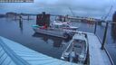 ./images/quadra/hbidock/20260310/hbidock20260310_073001M.jpg