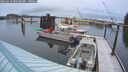 ./images/quadra/hbidock/20260310/hbidock20260310_081500M.jpg