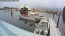 ./images/quadra/hbidock/20260310/hbidock20260310_083500M.jpg