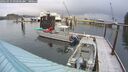 ./images/quadra/hbidock/20260310/hbidock20260310_090000M.jpg
