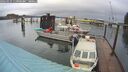 ./images/quadra/hbidock/20260311/hbidock20260311_113001M.jpg