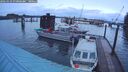 ./images/quadra/hbidock/20260312/hbidock20260312_074001M.jpg