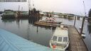./images/quadra/hbidock/20260312/hbidock20260312_130501M.jpg
