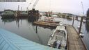 ./images/quadra/hbidock/20260312/hbidock20260312_133501M.jpg
