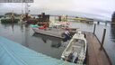 ./images/quadra/hbidock/20260317/hbidock20260317_082000M.jpg