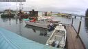 ./images/quadra/hbidock/20260317/hbidock20260317_083000M.jpg