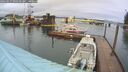 ./images/quadra/hbidock/20260317/hbidock20260317_093501M.jpg