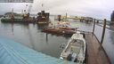 ./images/quadra/hbidock/20260317/hbidock20260317_112001M.jpg