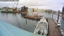 ./images/quadra/hbidock/20260317/hbidock20260317_123501M.jpg
