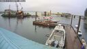 ./images/quadra/hbidock/20260317/hbidock20260317_135000M.jpg