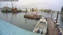 ./images/quadra/hbidock/20260317/hbidock20260317_135001M.jpg