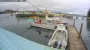 ./images/quadra/hbidock/20260318/hbidock20260318_180500M.jpg