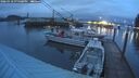 ./images/quadra/hbidock/20260318/hbidock20260318_195501M.jpg