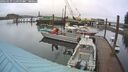 ./images/quadra/hbidock/20260319/hbidock20260319_115000M.jpg
